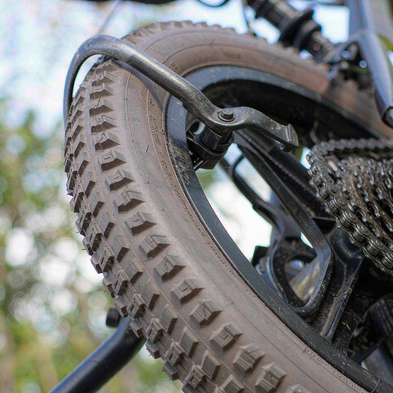 Close-up of the RoyalBaby Astro rear band brake and wide hybrid tire